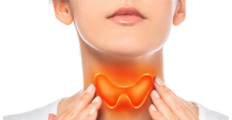 Optimal Ashwagandha Dosage for Thyroid Health | Atlas Bar